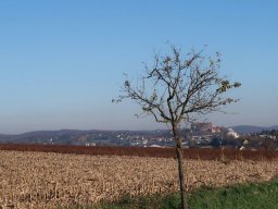 Novemberausfahrt
